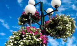 Visit Hungary: elindult a jelentkezés a 33. Virágos Magyarország versenyre