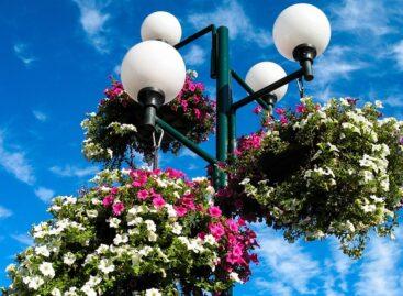 Visit Hungary: Registration for the 33rd Flowering Hungary Competition has begun