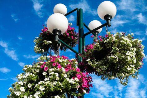 Visit Hungary: elindult a jelentkezés a 33. Virágos Magyarország versenyre