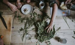 AM: középpontban a gyógynövények szerepe és védelme