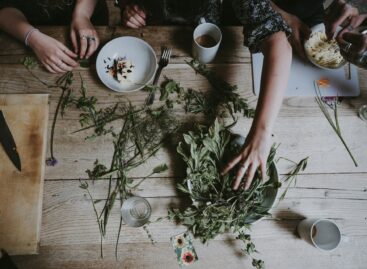 AM: focus on the role and protection of medicinal plants