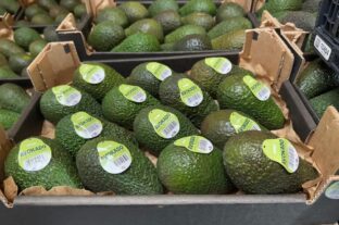 (HU) Új technológiával mérsékli az avokádó-pazarlást a Coop Norvégia