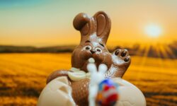 Cocoa price shock: hectic world market rewrites candy manufacturers’ plans