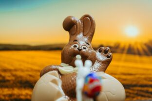 Cocoa price shock: hectic world market rewrites candy manufacturers’ plans