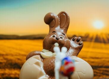 Kakaóár-sokk: a hektikus világpiac átírja az édességgyártók tervezését