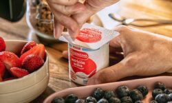 Danone strikes Argentina dairy JV