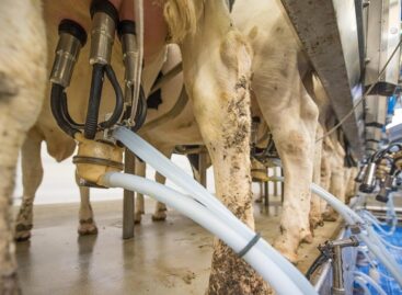 The government will help dairy farmers with about 7 billion forints