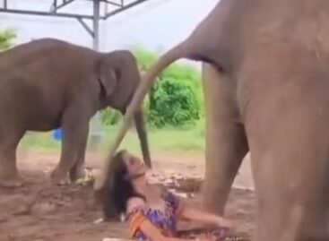 Ami kicsiben bevált… – A nap videója