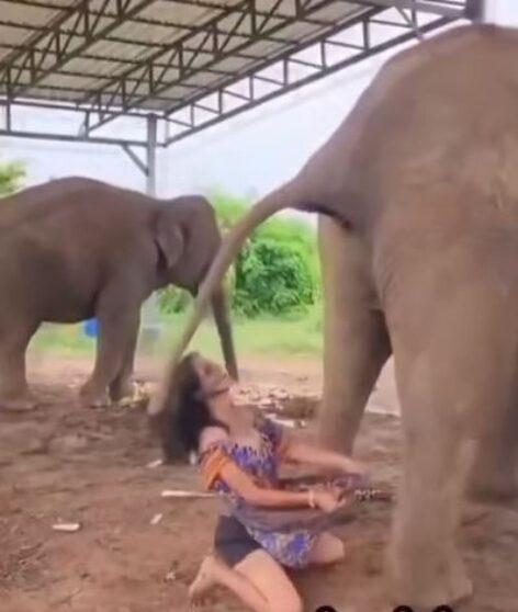 (HU) Ami kicsiben bevált… – A nap videója