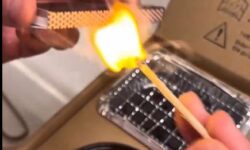 Instant grillvacsora – A nap videója