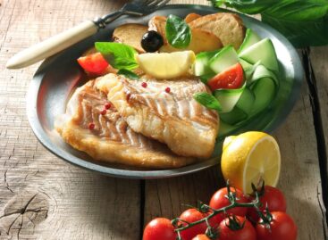 Elindul a „Kapj rá!” roadshow: Kiskőrös az első állomás