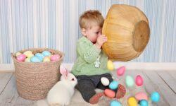 Animal rights activists: Don’t give live animals as gifts for Easter