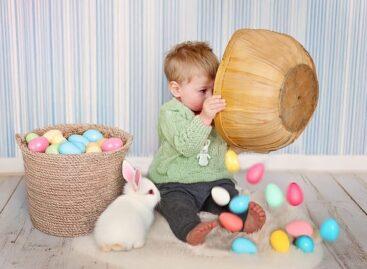 Animal rights activists: Don’t give live animals as gifts for Easter