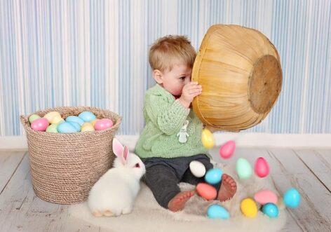 Állatvédők: ne ajándékozzunk élő állatot húsvétra