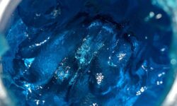 Algával kékíthetik ezentúl az élelmiszereket a gyártók