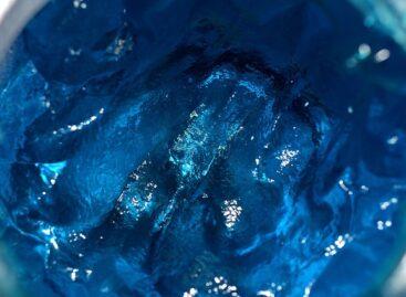 Algával kékíthetik ezentúl az élelmiszereket a gyártók