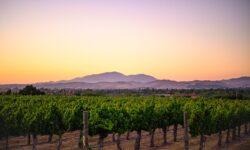 Első évfordulóját ünnepli a borvidékek nemzetközi szövetsége, a The Global AVA