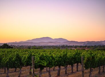 Első évfordulóját ünnepli a borvidékek nemzetközi szövetsége, a The Global AVA