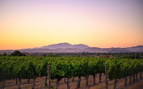 The Global AVA, the international association of wine regions, celebrates its first anniversary