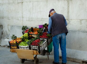 NGM: rugalmasabb feltételekkel pályázhatnak a hazai mikro- és kisvállalkozások a telephelyfejlesztésre