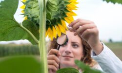 ENAG Project in the Hungarian-Serbian border region successfully concluded