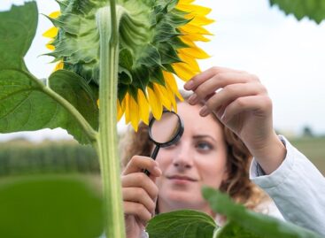 Sikeresen lezárult az ENAG Projekt a magyar-szerb határtérségben