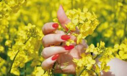 Sikeresen zárult az ENAG a női agrárvállalkozók fejlesztéséért innovációs bootcamp Magyarországon