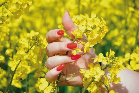 Sikeresen zárult az ENAG a női agrárvállalkozók fejlesztéséért innovációs bootcamp Magyarországon