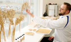 16 millió dolláros beruházással bővíti svédországi üzemét az Oatly