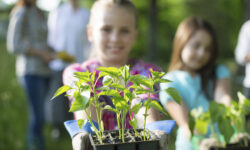 Zöld Rügy díj: április 30-ig nevezhetnek a fenntartható települési megoldások