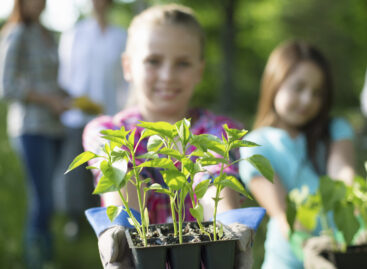 Zöld Rügy díj: április 30-ig nevezhetnek a fenntartható települési megoldások