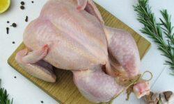 Irish poultry exports surge by 18% in 2025