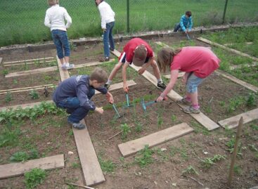Anikó Raisz: the school garden development program is an important educational project