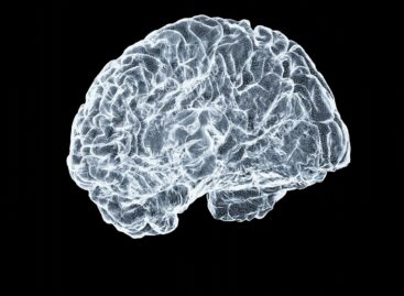 Ritka Betegségek Világnapja: a klinikai vizsgálatok fejlődése és a genetikai diagnosztika bővülése elengedhetetlen a precíziós gyógyszerek fejlesztéséhez