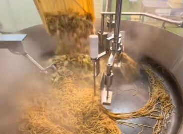 Sültrizsgyár – A nap videója