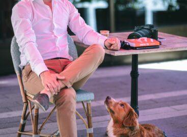 Szántó Péterrel indít digitális produkciós céget a Positive Adamsky