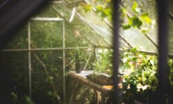 Gardening can once again be part of everyday life – Kertművelő, Nébih’s new gardening program, has been launched