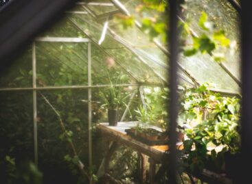 A kertészkedés újra a mindennapok része lehet – elindult a Kertművelő, a Nébih új kertészeti programja