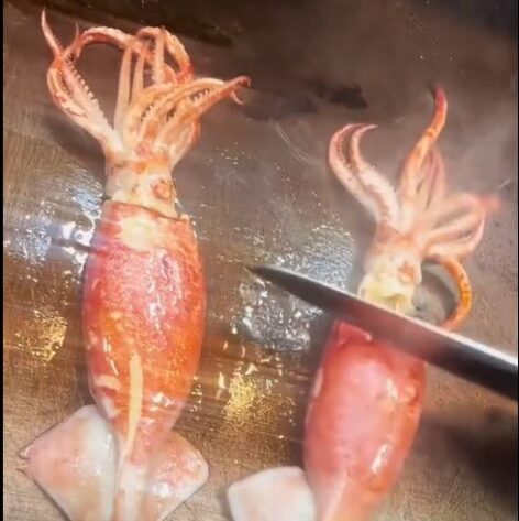 Tintahal to go – A nap videója