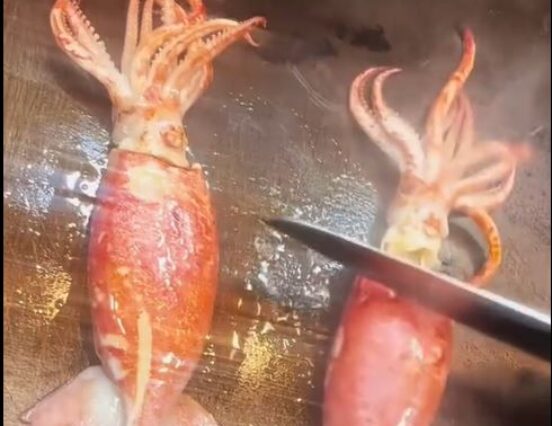 (HU) Tintahal to go – A nap videója