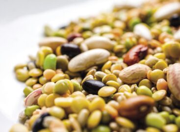 In the UK the plant-based sector offers serious business opportunities in 2026