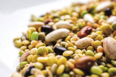 Komoly üzleti lehetőséggel kecsegtet a brit növényi alapú ágazat 2026-ban