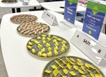 Vegán reggelire látta vendégül munkatársait a Lidl