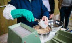 Fókuszban a vetőmag-mintavétel: tréningnapot tartott a VSZT és a Nébih