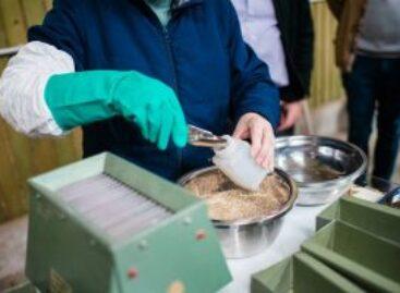 Seed sampling in focus: VSZT and Nébih held a training day