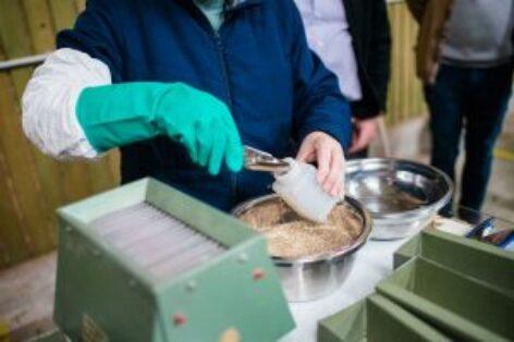 Fókuszban a vetőmag-mintavétel: tréningnapot tartott a VSZT és a Nébih