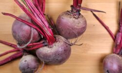 Horseradish export volume has fallen, but its value has increased in 2025