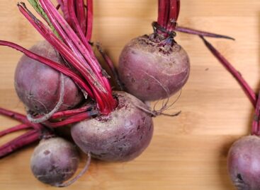 Horseradish export volume has fallen, but its value has increased in 2025