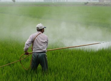 Nébih draws attention to the dangers of counterfeit pesticides