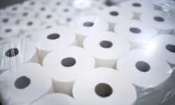 Megkezdődött a Vajda-Papír Csoport történetének legnagyobb, 40 milliárd forintos beruházási programja